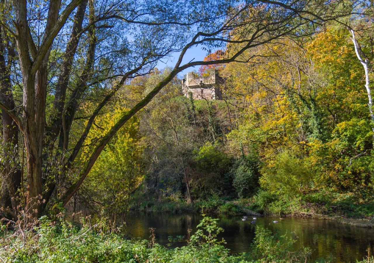 Saalfeld Saale Hotel & Ferienwohnungen Bohlenblick מראה חיצוני תמונה